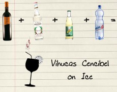 (Español) Vihucas Cencibel on Ice