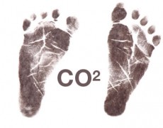 Wine’s carbon footprint