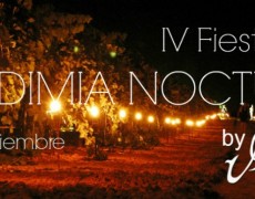 IV Fiesta de la vendimia Nocturna